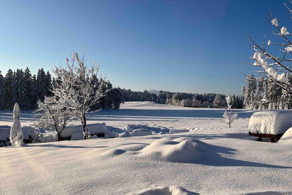 Allgaeuhaus Thomas Am Bauernhof Ferienwohnung Wald  Zewnętrze zdjęcie